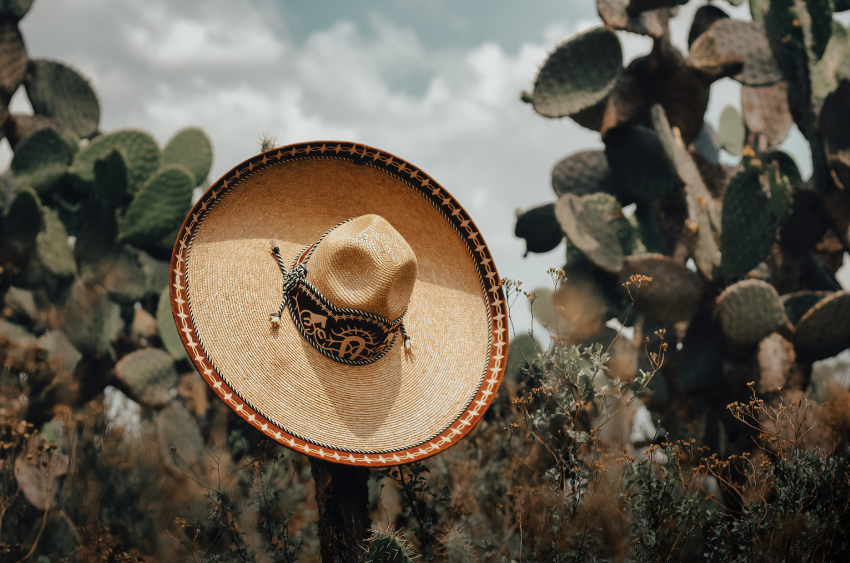 Diferencia Entre Catastro Y Registro De La Propiedad Diferencia entre catastro y registro de la propiedad